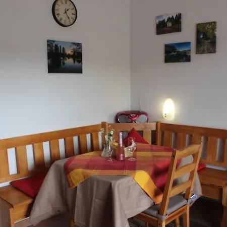 Terrassenwohnung, Herrischried