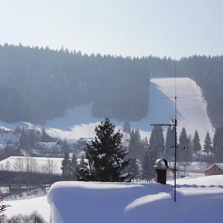 In Near Forest Herrischried