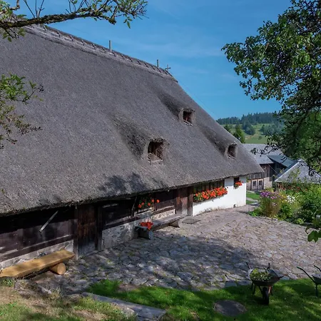 Terrassenwohnung, Herrischried