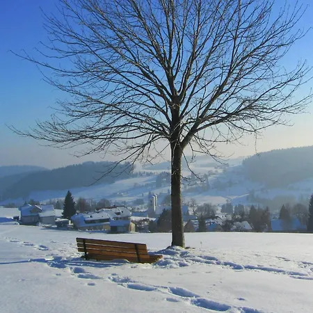 Terrassenwohnung, * Herrischried